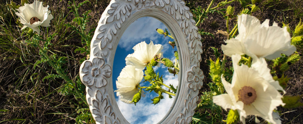 Transformer vos vieux miroirs d’une manière incroyable