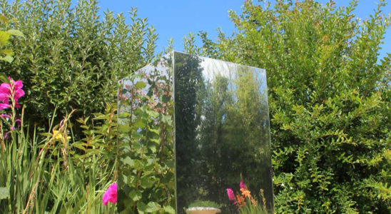Miroir pot de fleur