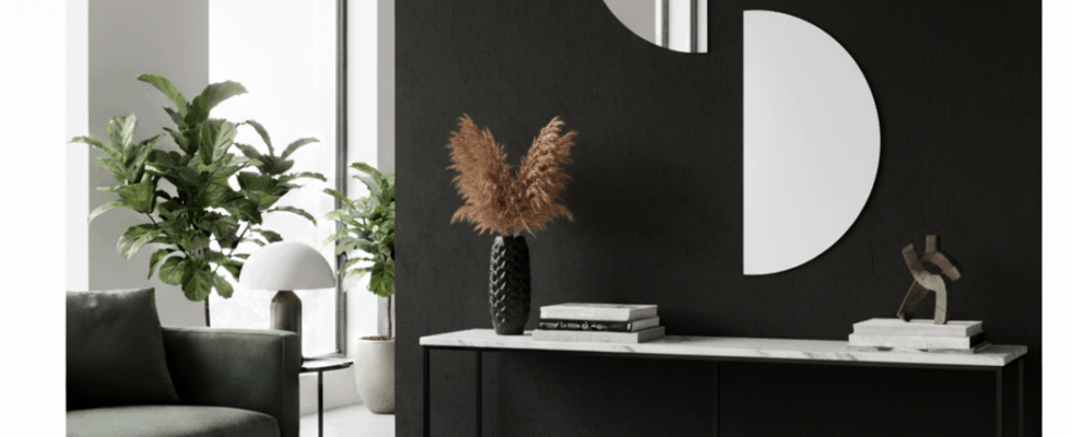 Miroirs demi cercle