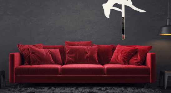 Miroir silouhette Pole Dance